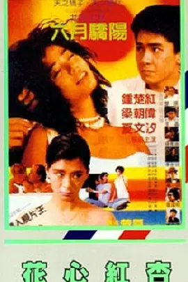 日本理论片